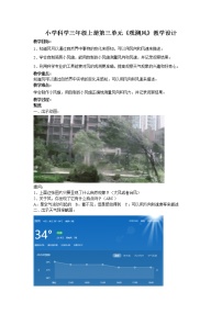 小學(xué)科學(xué)教科版 (2017)三年級(jí)上冊(cè)5.觀測(cè)風(fēng)教案及反思
