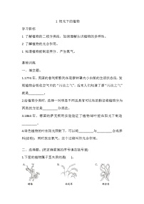 湘科版 (2017)六年級(jí)上冊(cè)1 陽光下的植物課后復(fù)習(xí)題