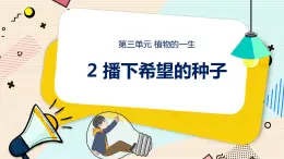 新大象科學(xué)三下 3.2 播下希望的種子 課件PPT+教案+視頻