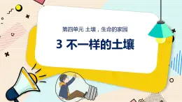 新大象科學(xué)三下 4.3 不一樣的土壤 課件PPT+教案