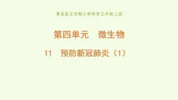 11 、《預(yù)防新冠肺炎》第1課時(shí) 課件