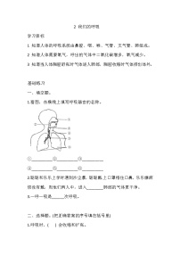 小學科學湘科版 (2017)四年級上冊第二單元 消化與呼吸2 我們的呼吸鞏固練習