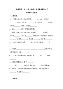 二年級(jí)上冊(cè)13 天空中的太陽(yáng)達(dá)標(biāo)測(cè)試