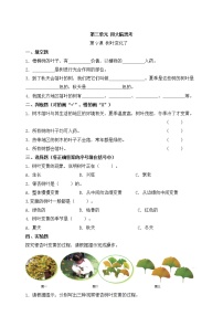 蘇教版 (2017)一年級上冊9.樹葉變黃了練習(xí)題