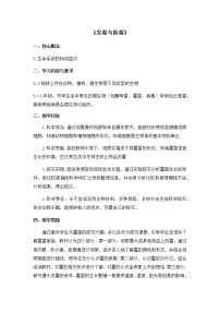 小學(xué)科學(xué)6 發(fā)霉與防霉教學(xué)設(shè)計