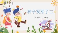 小學(xué)科學(xué)蘇教版 (2017)三年級(jí)下冊(cè)1 種子發(fā)芽了完整版課件ppt