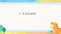 2.7 水里的植物 （課件+教案+素材）