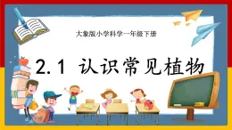 【大象版】一下科學  2.1 認識常見植物(課件+教案)