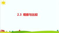 小學(xué)科學(xué)教科版 (2017)二年級(jí)下冊(cè)3.觀察與比較示范課課件ppt