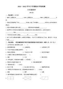 【小升初真題卷】2021-2022學(xué)年河南省三門峽市澠池縣大象版六年級下冊期末學(xué)情檢測科學(xué)試卷（原卷版+解析版）