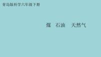 小學(xué)科學(xué)青島版 (六三制2017)六年級下冊煤 石油 天然氣教課內(nèi)容ppt課件