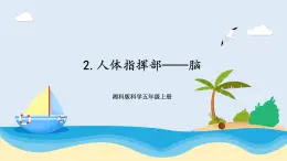湘科版科學五年級上冊1.2人體指揮部—腦 課件+教案