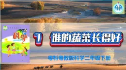 粤科粤教版科学二年级下册7谁的蔬菜长得好PPT课件
