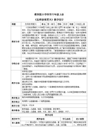 教科版 (2017)六年級上冊2.怎樣放得更大精品教學(xué)設(shè)計