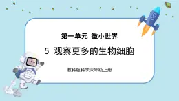 【核心素養(yǎng)】1.5《觀察更多的生物細(xì)胞》課件PPT+教學(xué)詳案
