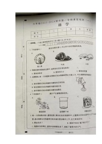 山西省大同市左云縣2023-2024學(xué)年六年級上學(xué)期課堂觀測（一）（10月聯(lián)考）科學(xué)試卷