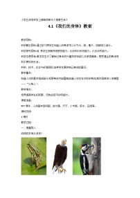小學(xué)科學(xué)教科版 (2017)五年級上冊1.我們的身體教學(xué)設(shè)計及反思