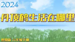 （2024）粵教版科學(xué)六年級下冊-13《丹頂鶴生活在哪里》PPT課件