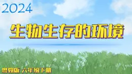 （2024）粵教版科學(xué)六年級下冊-14《生物生存的環(huán)境》PPT課件