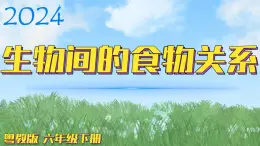 （2024）粵教版科學(xué)六年級下冊-16《生物間的食物關(guān)系》PPT課件