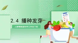 【核心素養(yǎng)】人教鄂教版科學(xué)三年級(jí)下冊(cè) 2.4《播種發(fā)芽》課件+教案+分層練習(xí)