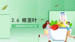 【核心素養(yǎng)】人教鄂教版科學(xué)三年級(jí)下冊(cè) 2.6《根莖葉》課件+教案+分層練習(xí)