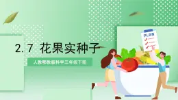 【核心素養(yǎng)】人教鄂教版科學(xué)三年級(jí)下冊(cè) 2.7《花果實(shí)種子》課件+教案+分層練習(xí)