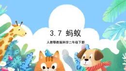 【核心素養(yǎng)】人教鄂教版科學(xué)二年級(jí)下冊(cè)3.7《螞蟻》課件+教案+分層練習(xí)