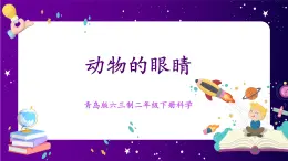 【青島版六三制】二下科學(xué)  4.11動物的眼睛  課件+教案+練習(xí)