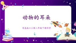【青島版六三制】二下科學(xué)  4.12動物的耳朵 課件+教案+練習(xí)+素材