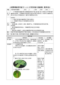 人教鄂教版 (2017)四年级下册10 不同环境中的植物教案设计