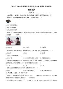 2023-2024學(xué)年湖南省張家界市永定區(qū)教科版四年級(jí)上冊(cè)期末考試科學(xué)試卷（原卷版+解析版）