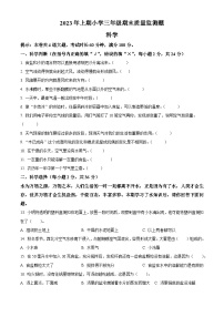 2023-2024学年湖南省怀化市通道县教科版三年级上册期末考试科学试卷（原卷版+解析版）
