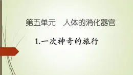大象版小学科学四上第五单元 人体的消化器官1.一次神奇的旅行 课件
