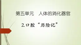 大象版小学科学四上第五单元 人体的消化器官2.口腔“历险记” 课件