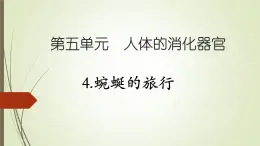 大象版小学科学四上第五单元 人体的消化器官4.蜿蜒的旅行 课件