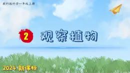 （2024新課標(biāo)）教科版科學(xué)一年級上冊1單元-2 觀察植物-PPT課件+視頻圖片素材