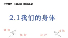 教科版1上科學第2单元第1课《我们的身体》課件