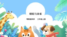 粵教粵科版（2017）科學(xué)三年級(jí)上冊(cè)1.2《蜻蜓與麻雀》課件+教案+練習(xí)