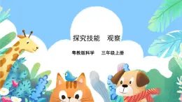 粵教粵科版（2017）科學(xué)三年級(jí)上冊(cè)《探究技能 觀察》課件+教案+練習(xí)