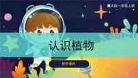 小學(xué)科學(xué)冀人版 (2017)一年級上冊5 認(rèn)識植物精品課件ppt