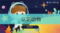 小學科學冀人版 (2017)一年級上冊8 認識動物優(yōu)質(zhì)ppt課件