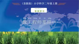 蘇教版科學(xué)二年級(jí)上專項(xiàng)學(xué)習(xí) 像工程師那樣 課件