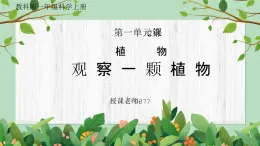 教科版一年級科學(xué)上冊《植物觀察一顆植物》教學(xué)課件
