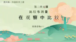教科版一年級科學(xué)上冊2.1在觀察中比較教學(xué)課件