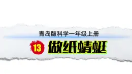 小學(xué)科學(xué)新青島版六三制一年級上冊第3單元第13課《做紙蜻蜓》教學(xué)課件（2024秋）
