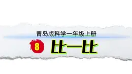 小學(xué)科學(xué)新青島版六三制一年級上冊第2單元第8課《比一比》教學(xué)課件（2024秋）