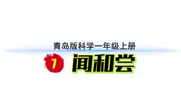 小學(xué)科學(xué)新青島版六三制一年級上冊第2單元第7課《聞和嘗》教學(xué)課件（2024秋）