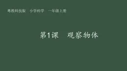 第1課 觀察物體 課件