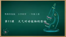 第11課 天氣對動(dòng)植物的影響 課件